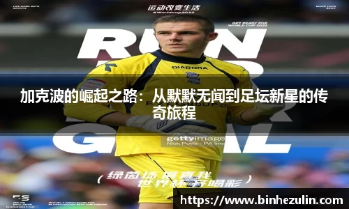 bifa必发登录